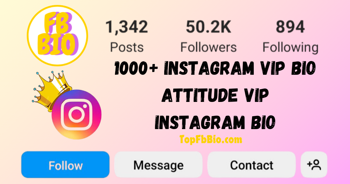 Instagram vip bio
