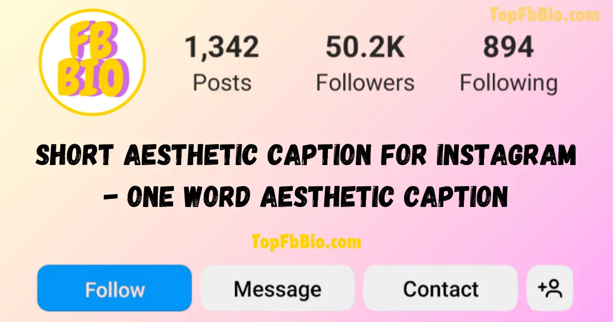 Short Aesthetic Caption for Instagram