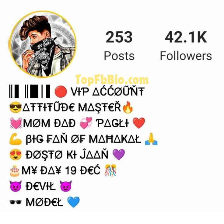 instagram vip bio stylish font