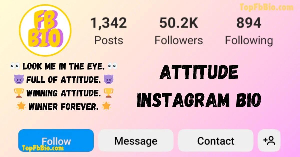 Attitude Instagram bio