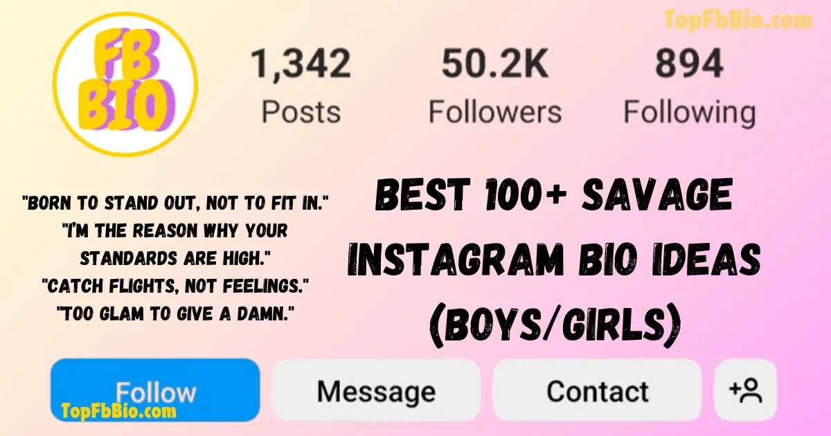 Savage Instagram bio Ideas