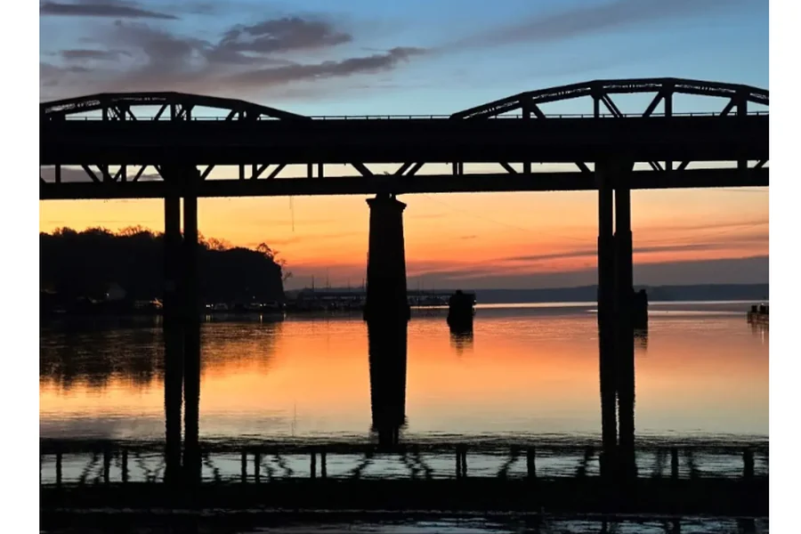 Patio Nights and Marina Views